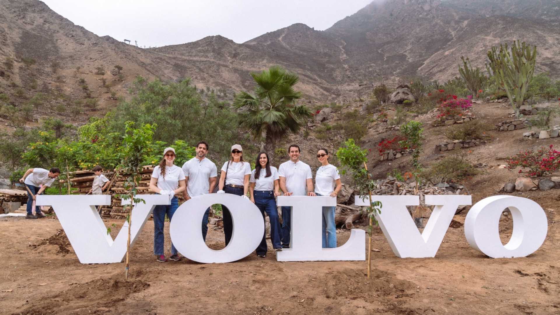 Volvo realiza la cuarta edición de su iniciativa de plantación de árboles en Lima junto a Entre Árboles